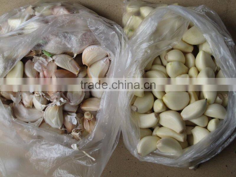 FX-139 High efficiency garlic bulb breaking machine,garlic seed breaking machine,garlic separating machine