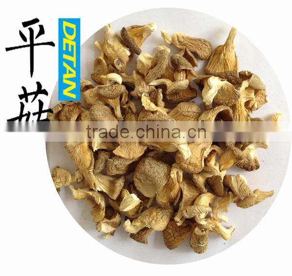 Dried hot sell oyster mushroom