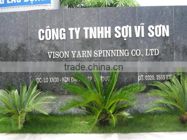 PP non-woven Shoes Bag