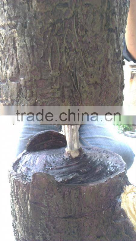 Tree Shaped Window Display