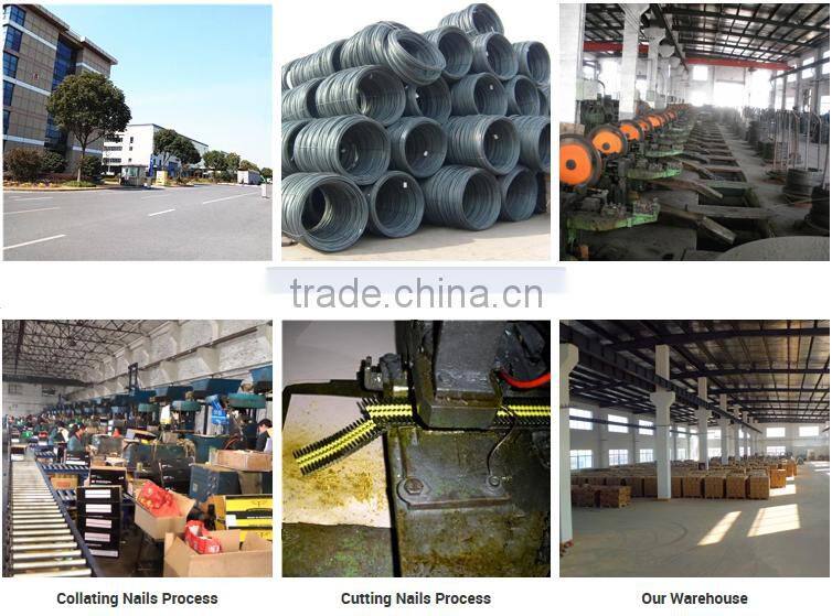 Quality first! 34degree D head paper tape nails