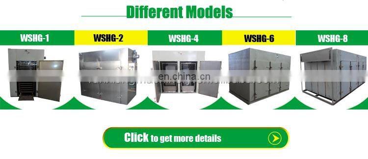 Automatic Cocoa Beans Dryer Machine In India