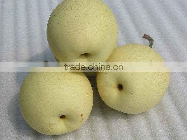 Chinese fresh Ya pear