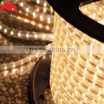 2 Wire Rope 120V Waterproof Rope Light