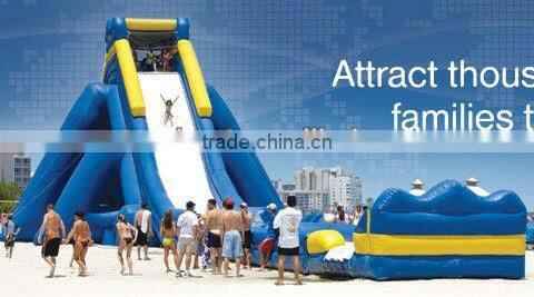 Hot Sale Giant Inflatable Water Slide