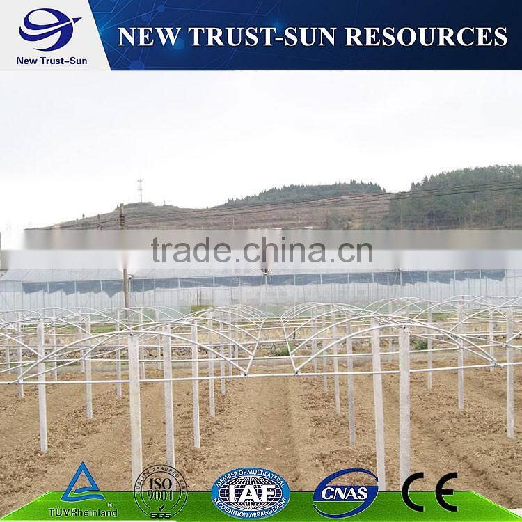 Low cost muti-span PVC/PE/Plastic greenhouse for flower/vegetable growing