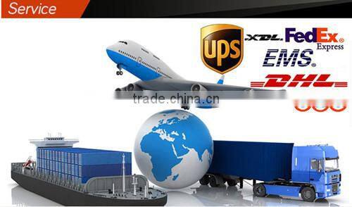 positive segment character custom COG lcd display