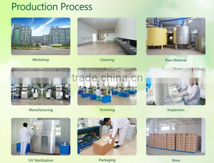 Christmas dinner paper tableware