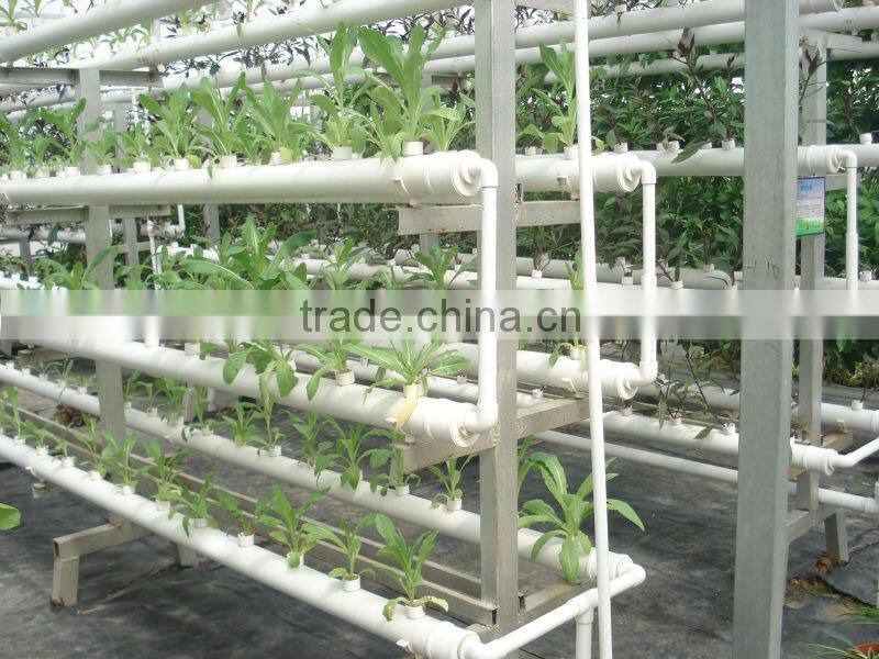 hydroponic NFT growing system greenhouse