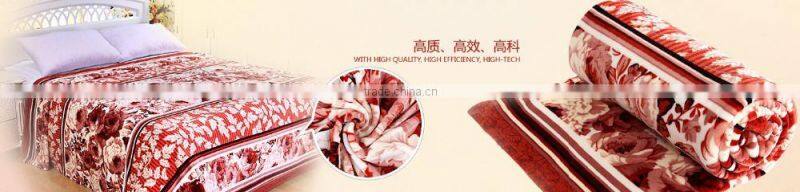 Cheap Double Thick Heavy Plush Raschael Mink Blankets