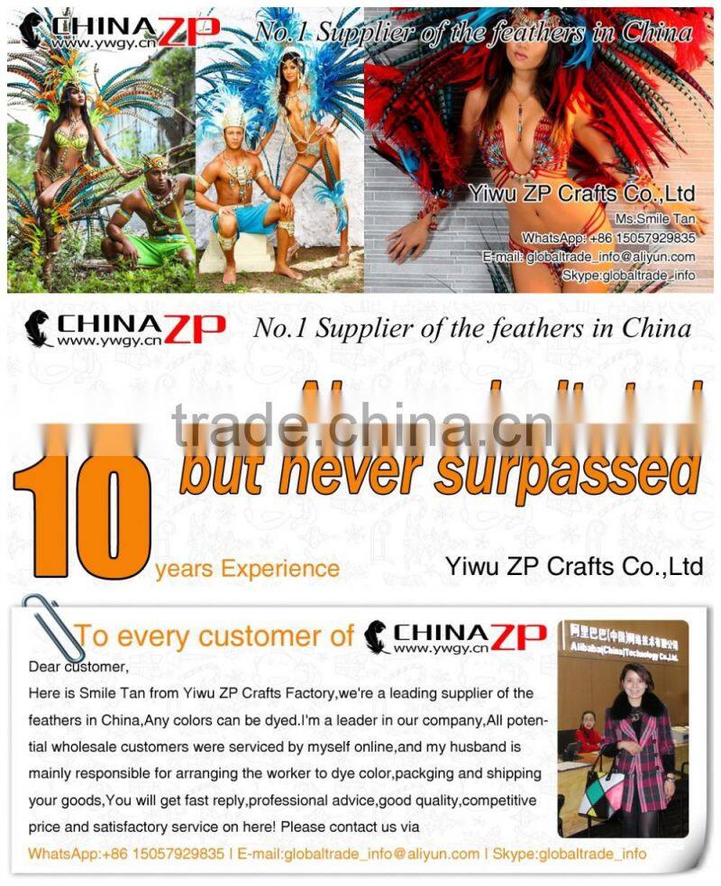 CHINAZP Factory Exporting Wholesale High Quality Dyed Orange Lady Amherst Pheasant Tail Feathers for DIY Decorations