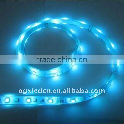 IP67 silicon tube waterproof 5050 blue 30LEDs/m 5m/roll 12V LED strip light wholesale and retail