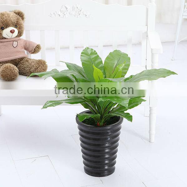 Artificial Birds nest fern