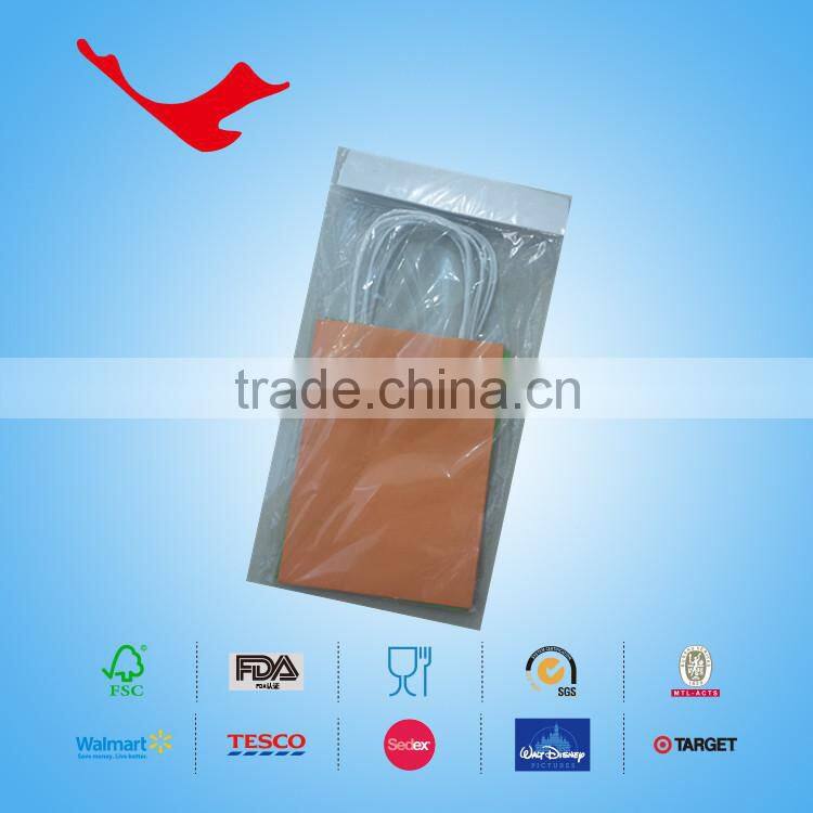 beautiful design printed paper bag, decorative paper bags, craft paper bag