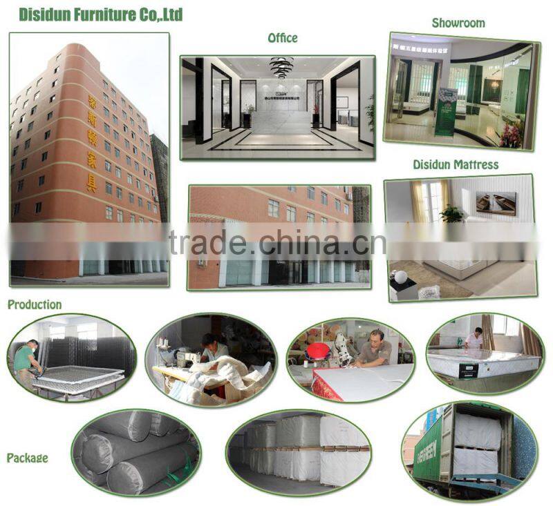 European Style Bedroom Furniture Adult Travel Mattress DS-SA16