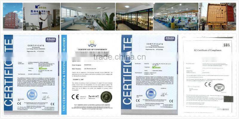 5Ampere Automatic Voltage Switcher AVS5A Hivolt Guard