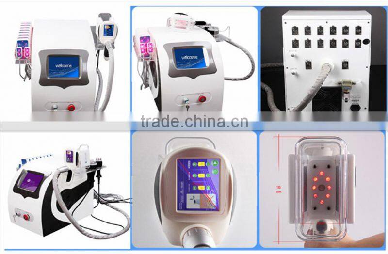 LM-S650B Hottest lipo cavitation cool tech fat freezing machine / cool tech fat freezing machine CE