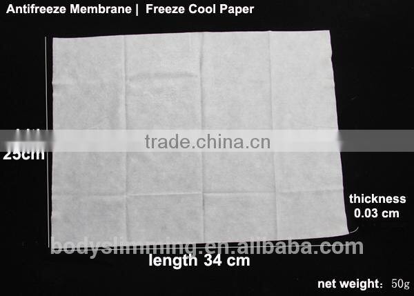 Mini Cryo Devices Cryolipolysis Machine For Home Use