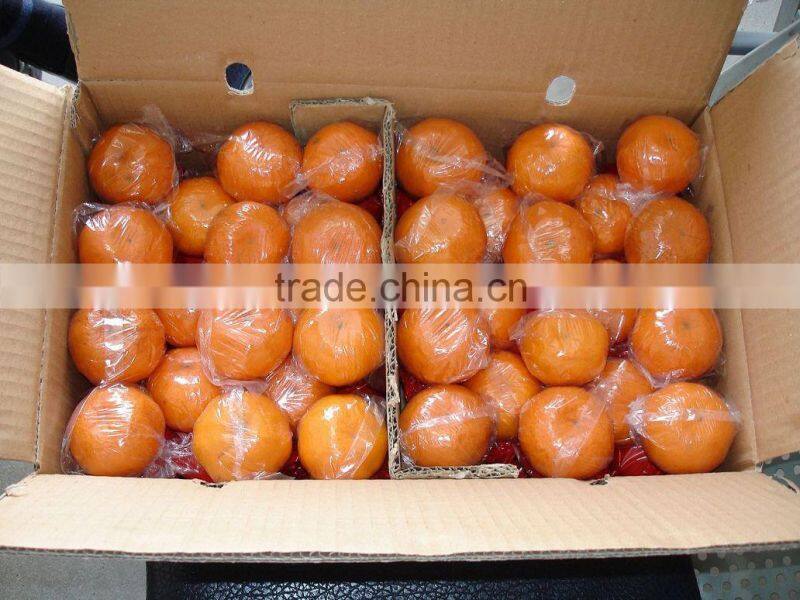 Fresh Mandarin Orange with Factory Wholesales Price
