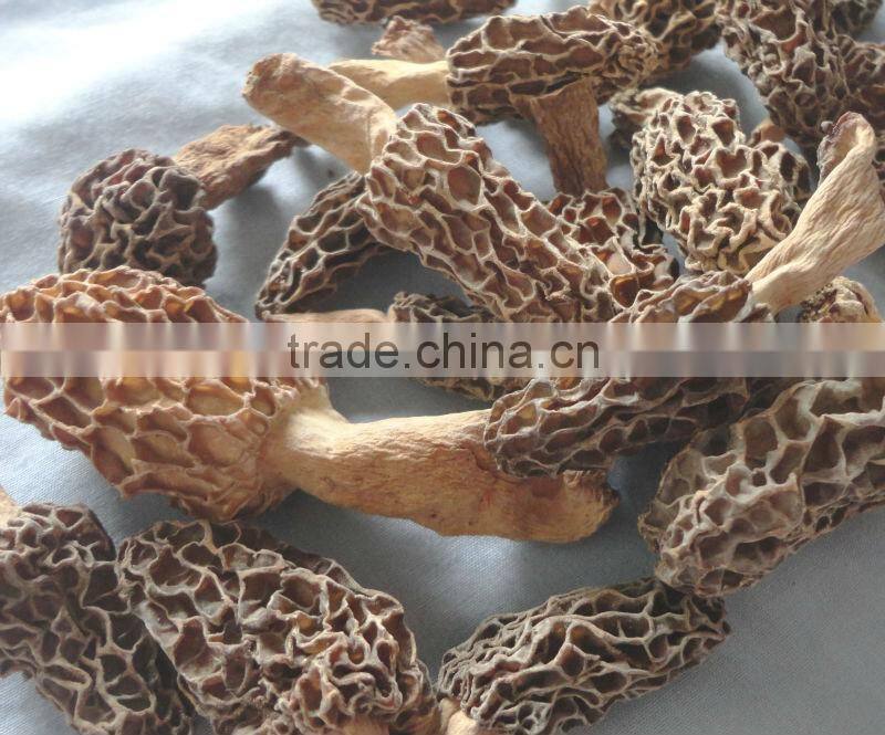 black morel mushroom market price dried morel mushroom magic mushrooms dried