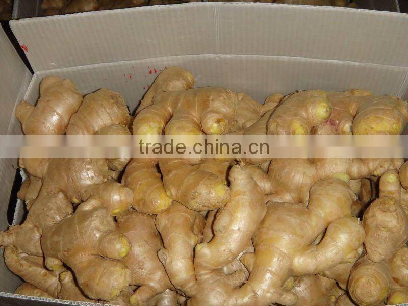 Organic fresh ginger