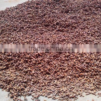 Middle East Hot Selling Alpinia Purpurata K.Schum /Glanga Root