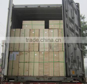 Newest Electric Vacuum Portable Milking Machine for Cow/goat/sheep