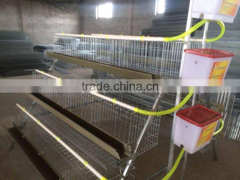 best selling 120 chickens cage for laying hens