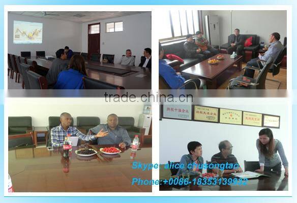 CS China Factory High Quality Construction Building 6t Tower Crane Manufacturer