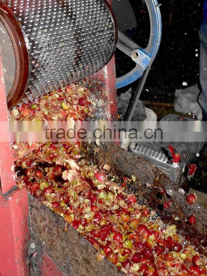 Popular High Efficiency Manual Coffee Pulper