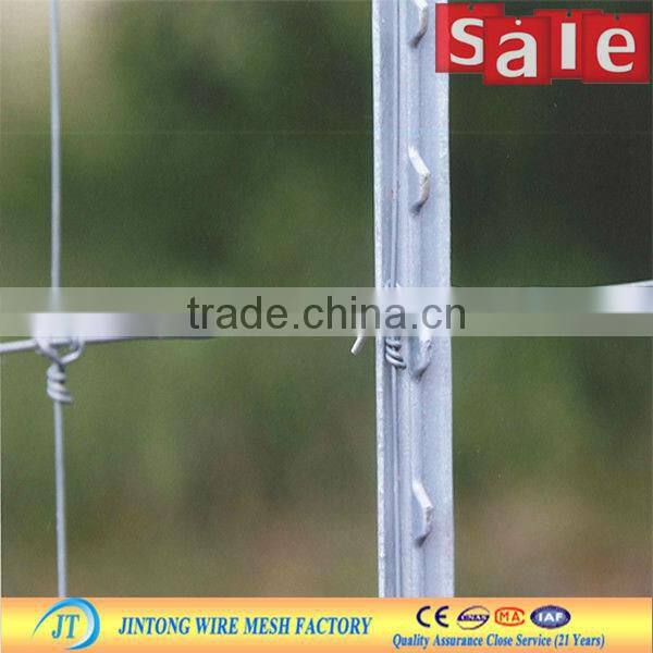 galvanized cheap wire mesh security black horse fences