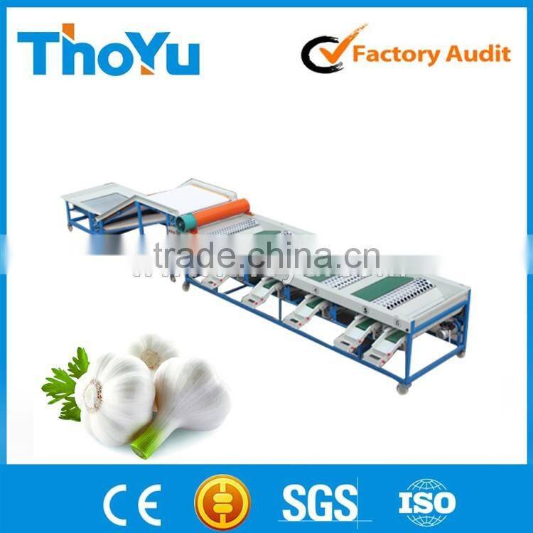 Garlic grading machine (sms +86-15937167907)