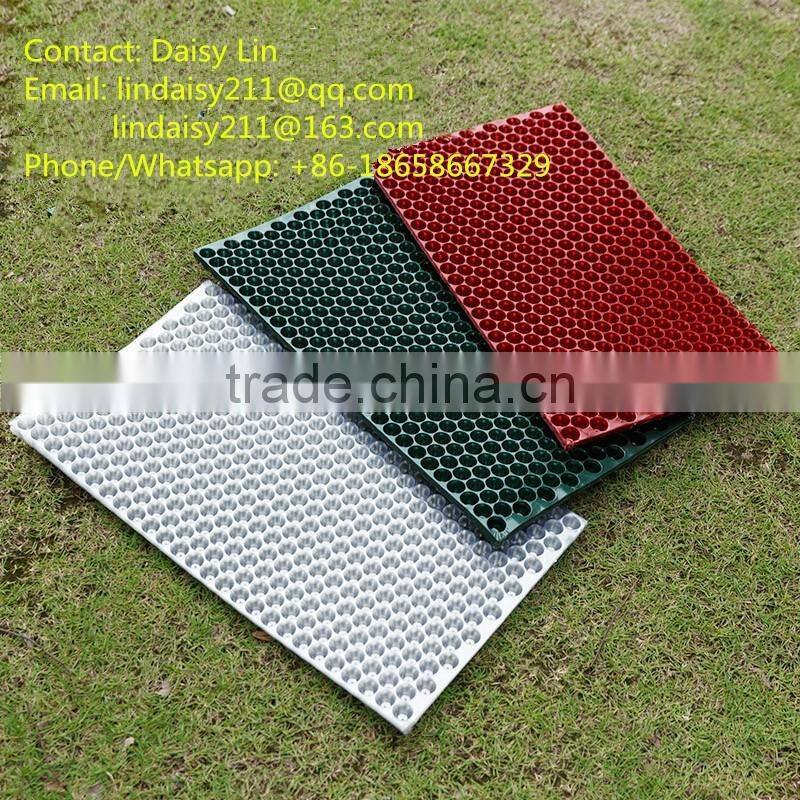 434cells hybrid rice seed sprouts, hydroponic propagator, 70g