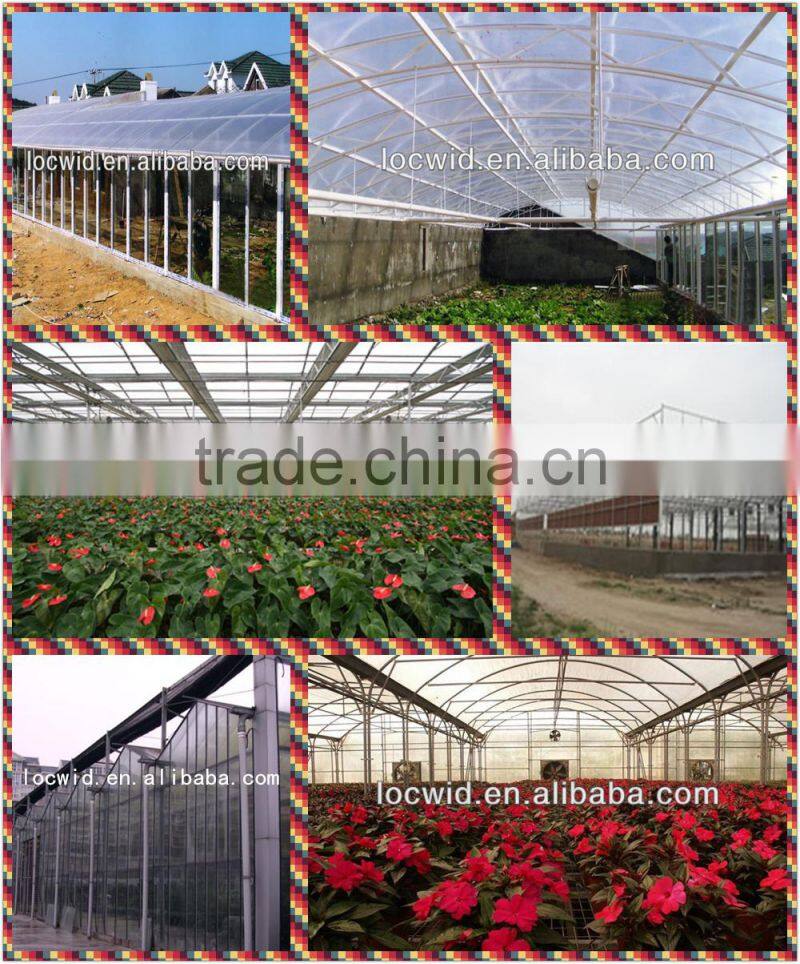 FRP sheet for green house