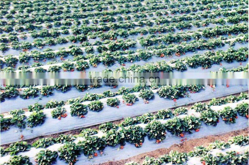 Agricultural biodegradable mulching film