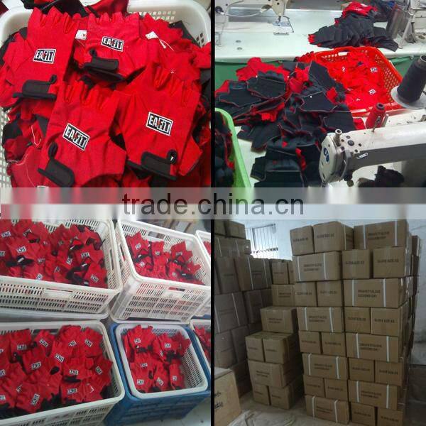 Training Gym Fingerless Gloves