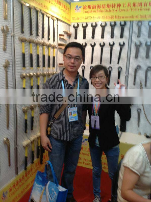 Manual Monorall Hoist no sparking safety tools