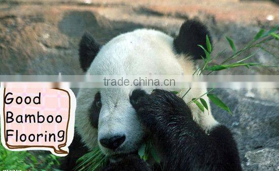 2013 Popular Carbonized Horizontal Waterproof Bamboo Wood Floor