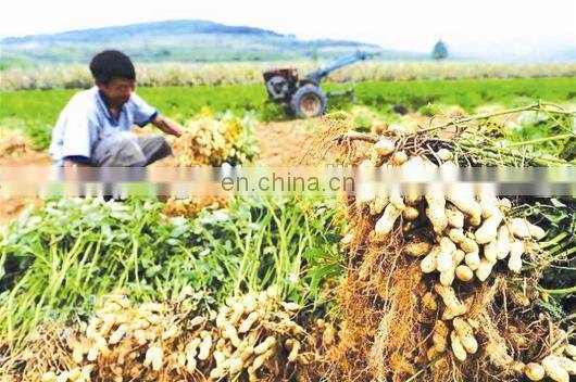 Peanut Reaper Harvesting Single-Row Potato Harvester Machine For Sale