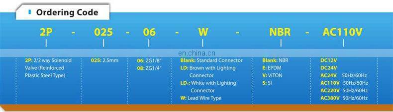 2P025-08 DC12V plastic micro solenoid water valve