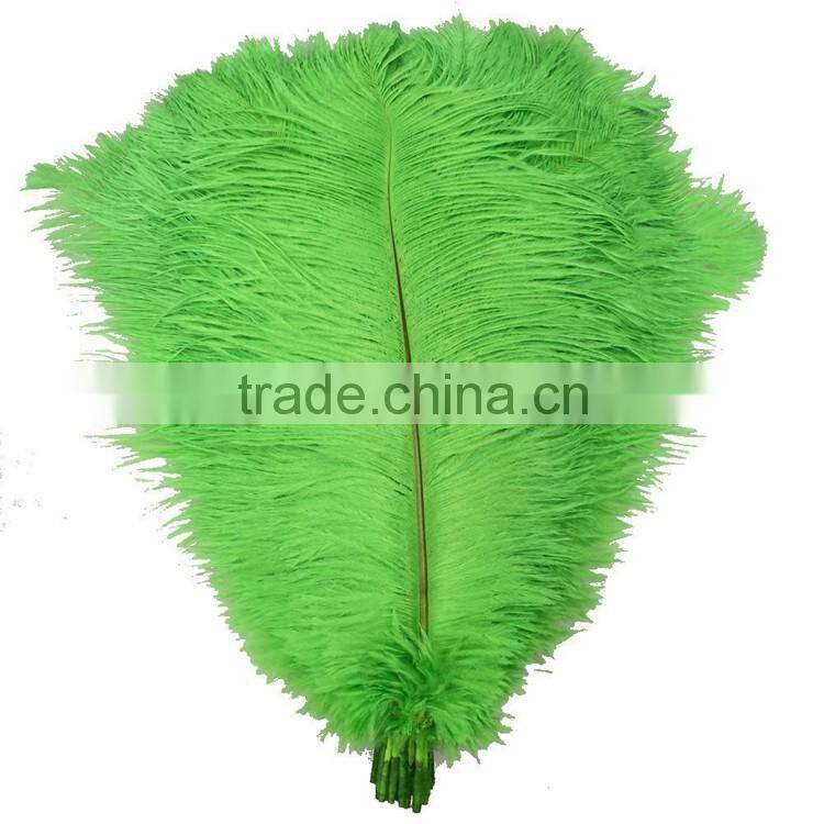 Wholesale Green Ostrich Plumes Feathers, Ostrich Plumes, Decorative Ostrich Feathers for wedding