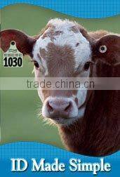 custom-made animal ear tag