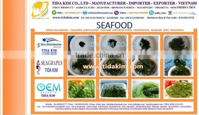 FROZEN WHOLE BABY OCTOPUS VULGARIS CLEANED BABAY OCTOPUS SHRIMP TIDA KIM LOPSTER VIETNAM FISH FILLETS BASA FRESH ALIVE NATURAL