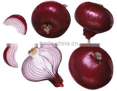 New Red onion