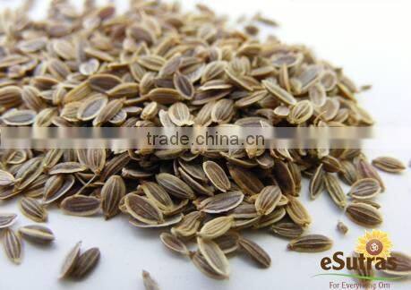 Dill Oil