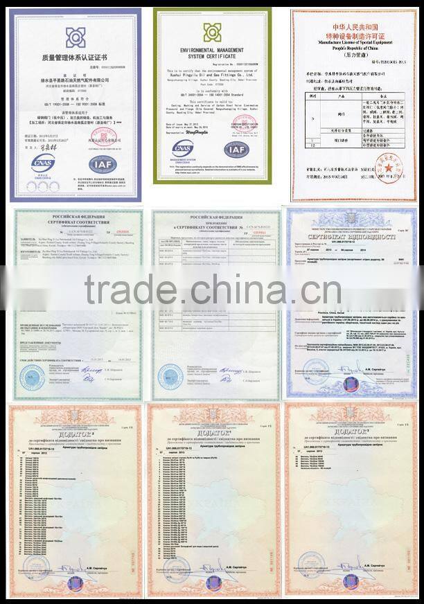 Ductile Iron Y Type Strainer filter