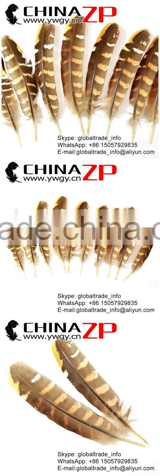 No.1 Supplier CHINAZP Top Selling 20-25cm Length Natural Reeves Venery Wing Pheasant Feathers for Decorations