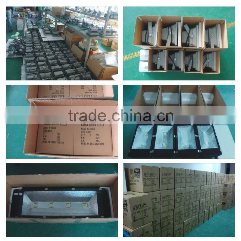 bridgelux 150w high power led torch light with CE Rohs