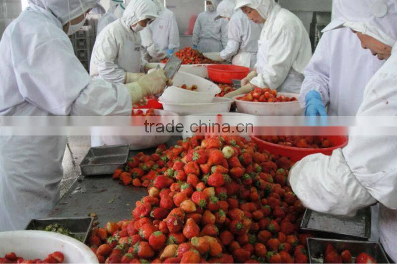 frozen fresh strawberry