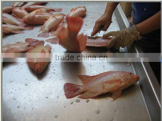 Frozen fish from live fish farm for sale